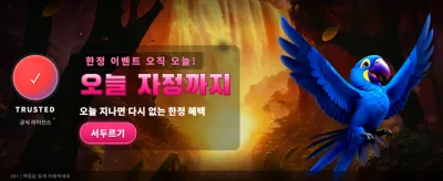 지금 바로 대박 승리를!
